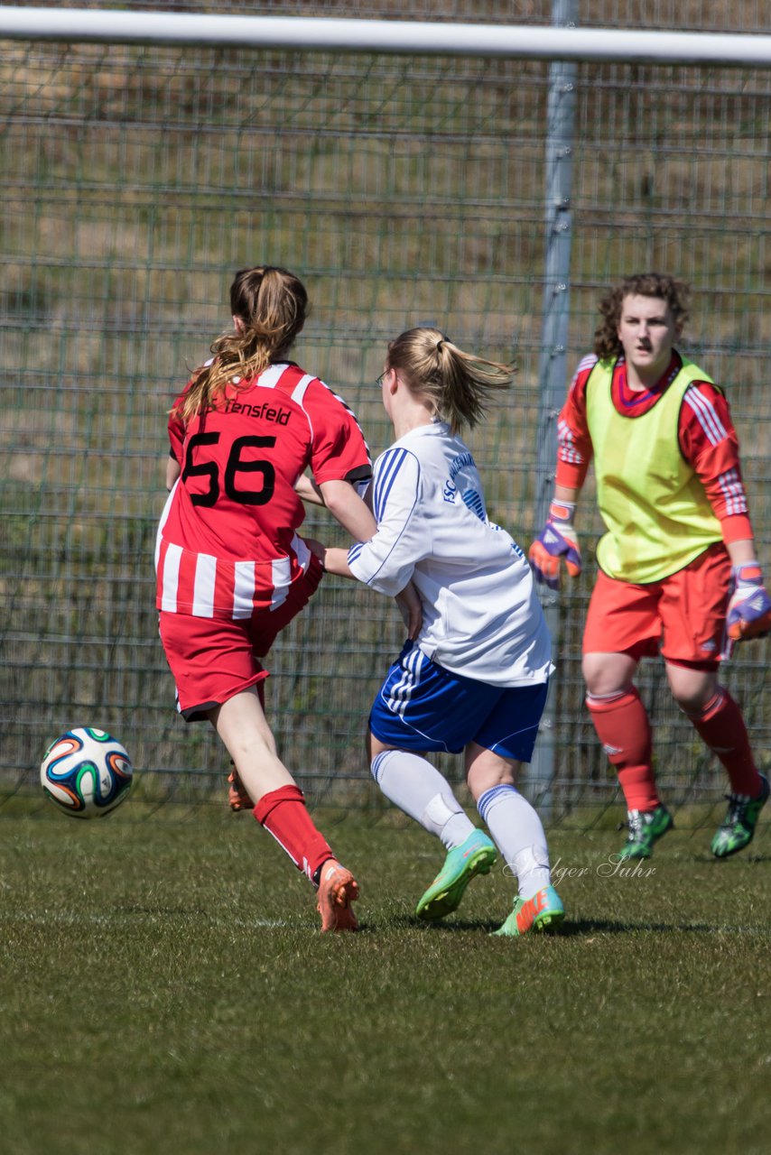 Bild 250 - B-Juniorinnen FSC Kaltenkirchen - TuS Tensfeld : Ergebnis: 7:0